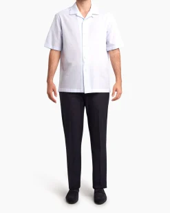 Navy Cotton Chinos
