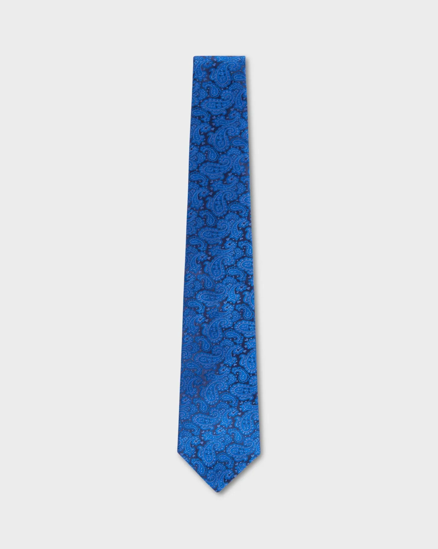 Royal Blue Paisley Tie