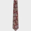 Rust Paisley Tie
